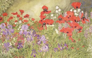 Poppies and Irises by Linda Benton